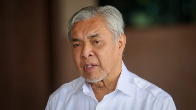 出席清真展进博会   扎希访华4天