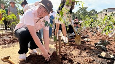 首创沉香“传承” Agartana承香园开创产业新篇章