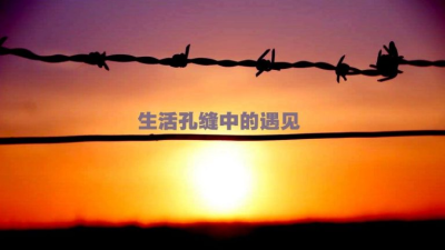 生活孔缝中的遇见 | 蹦跳矮仔干乐 – 快乐的掌锅权