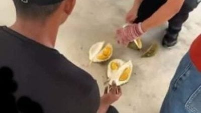 首天失误  双方谈判   榴槤评级问题解决