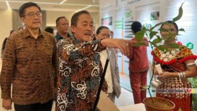 罗伦：具美白抗衰老功效  本地药草Engkerebai 驻颜圣品