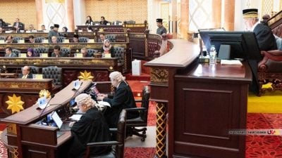 砂议会｜罗茜：致力构建安全防护环境  今年首10月44宗霸凌案