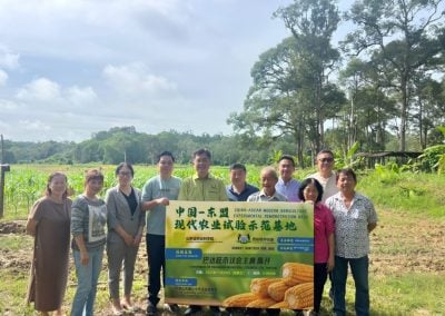 巴市会 山东 农业示范基地 . 饲料玉米试种初成