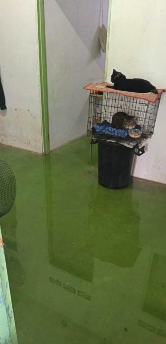 me02-大都会/（主文）乌冷数地区也沦陷。取代稿