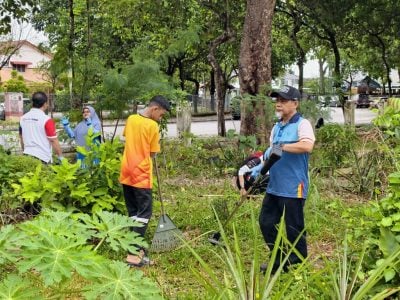 巴生防蚊大捷 病例减半  截至11月9累计3659宗 2人死
