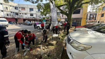 市局人员喷雾逼出来．美里捕鼠整治环境卫生