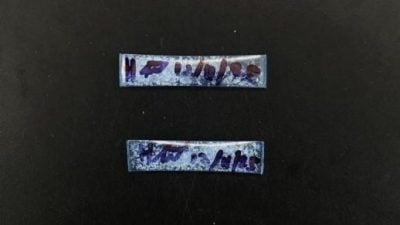 林梦警方逮毒虫