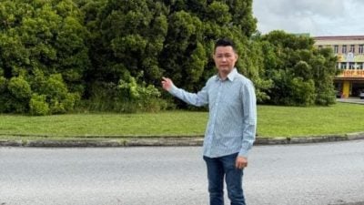 阻碍道路使用者视线．交通圈树木没修砍 危险