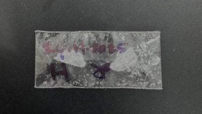 老越2男涉及毒落网