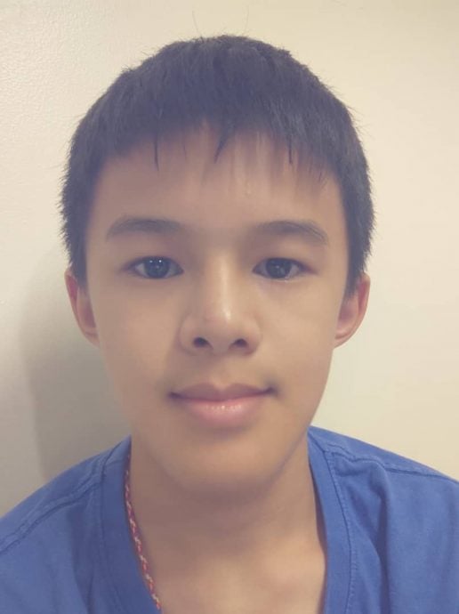 NS年轻人／瓜拉庇朥中华中学爱国月游行