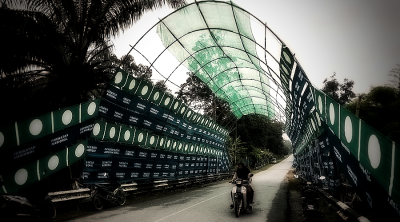 A freewheeling green wave once religious fidelity ascends to intense race