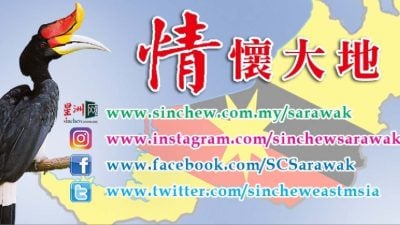 何俐萍：从主宰流量到被消费的反噬