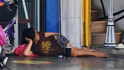 1个月前劳师动众救援 . “街头公主” 又回归