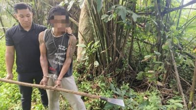 警方迅速行动逮3嫌破案. 偷油棕果换毒品