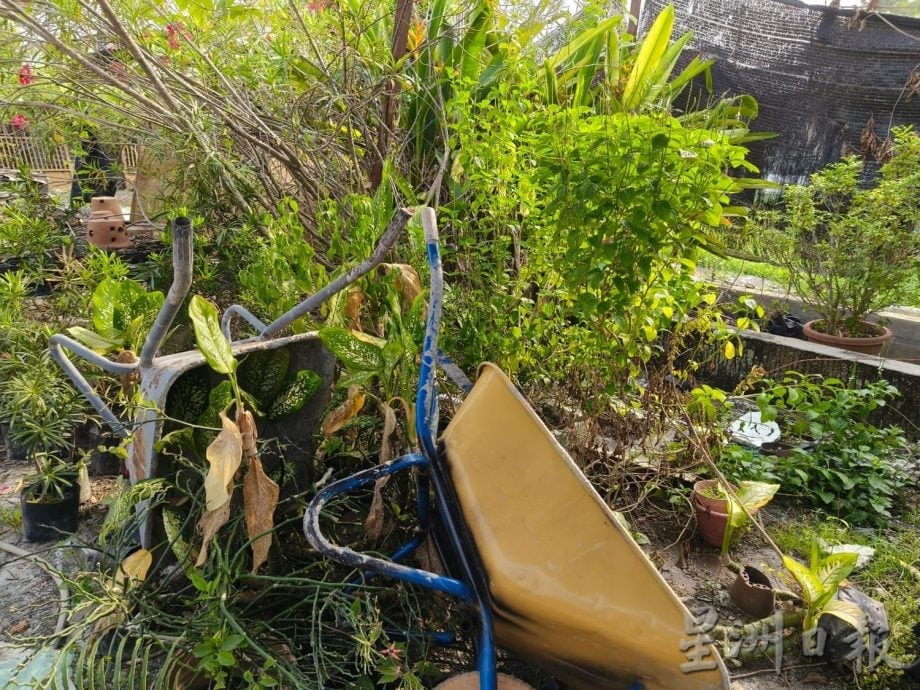 （古城第二版主文）甲州近来录得3宗新的骨痛热症病例，以及仍有1个活跃疫区