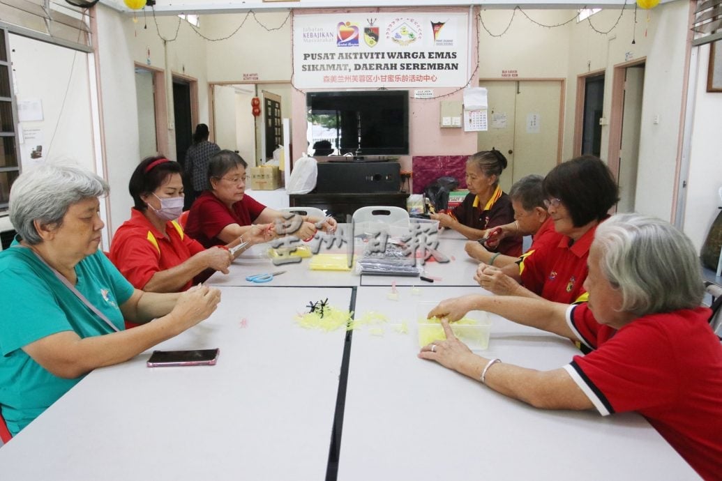 供星洲网:银发创意无限!小甘密乐龄中心长者3万6000支水草拼州旗