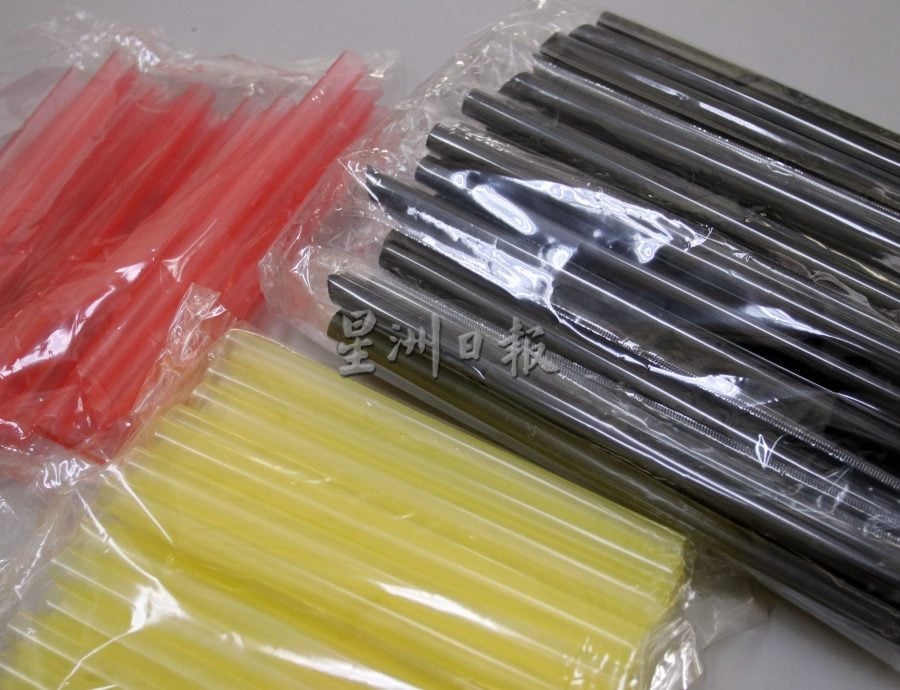 供星洲网:银发创意无限!小甘密乐龄中心长者3万6000支水草拼州旗