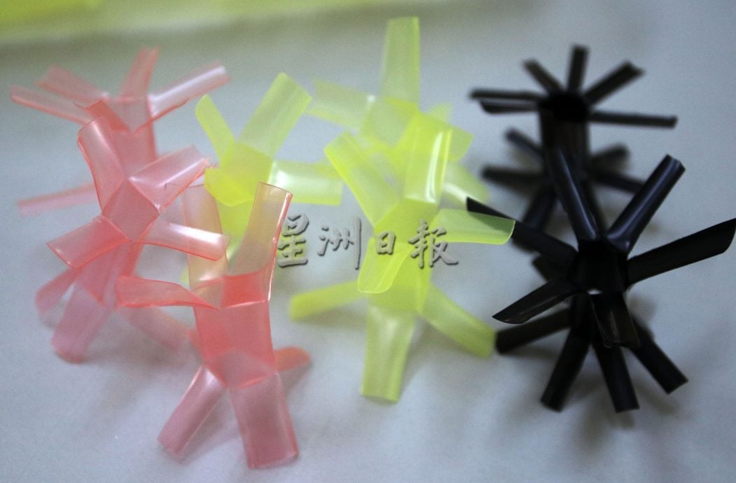 供星洲网:银发创意无限!小甘密乐龄中心长者3万6000支水草拼州旗