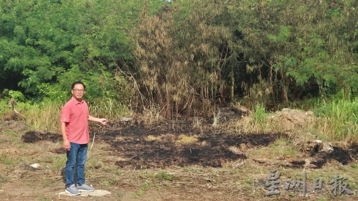 （古城封面副文）火烧小树林