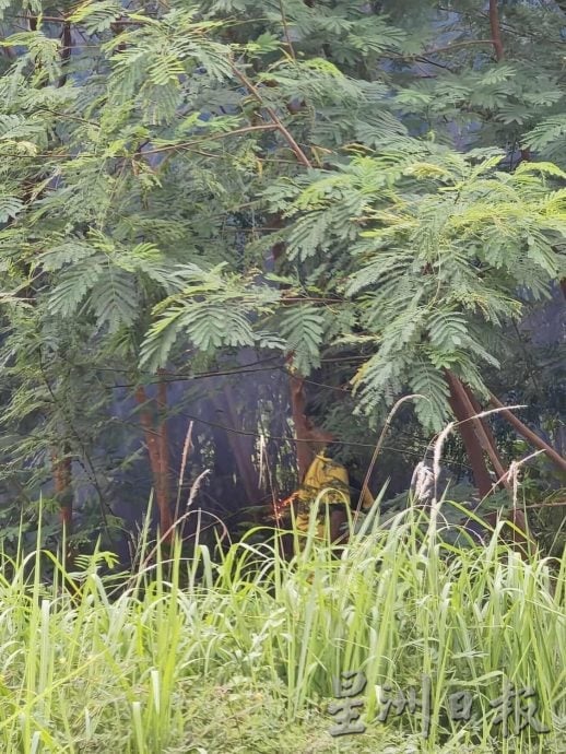 （古城封面副文）火烧小树林