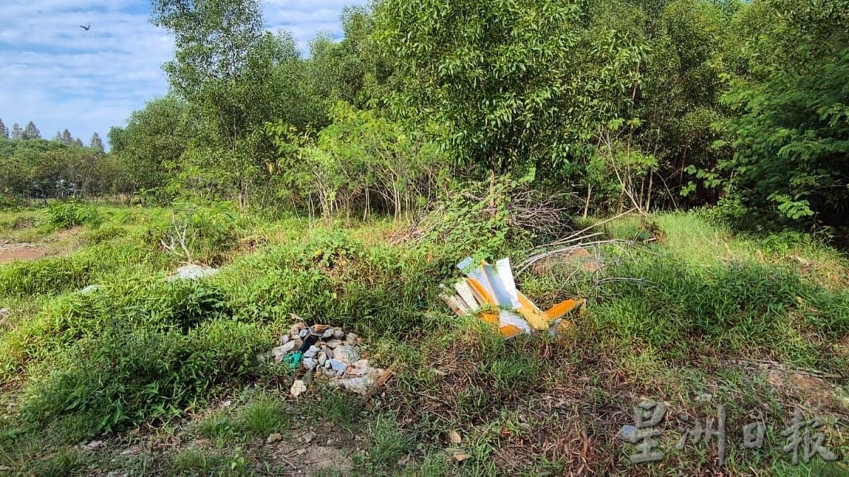 （古城封面副文）火烧小树林