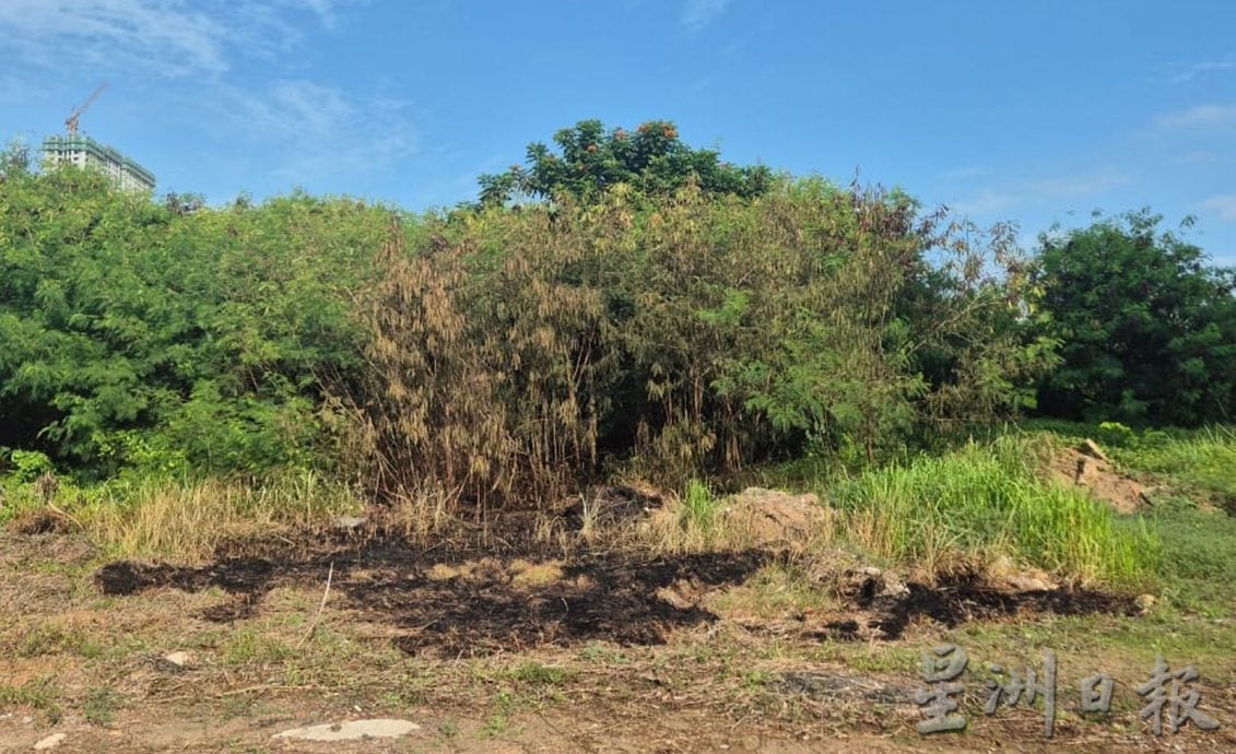 （古城封面副文）火烧小树林