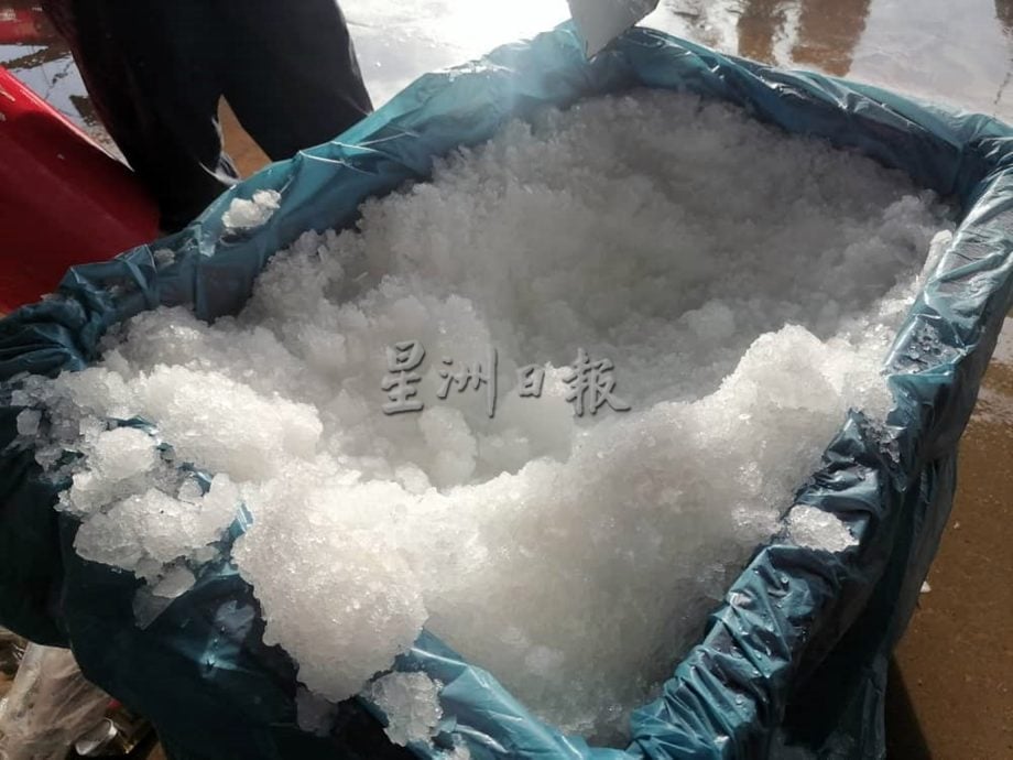 东:渔获丰收惨遇冰块短缺,逾30公吨海产无法保鲜最终沦为饲料。