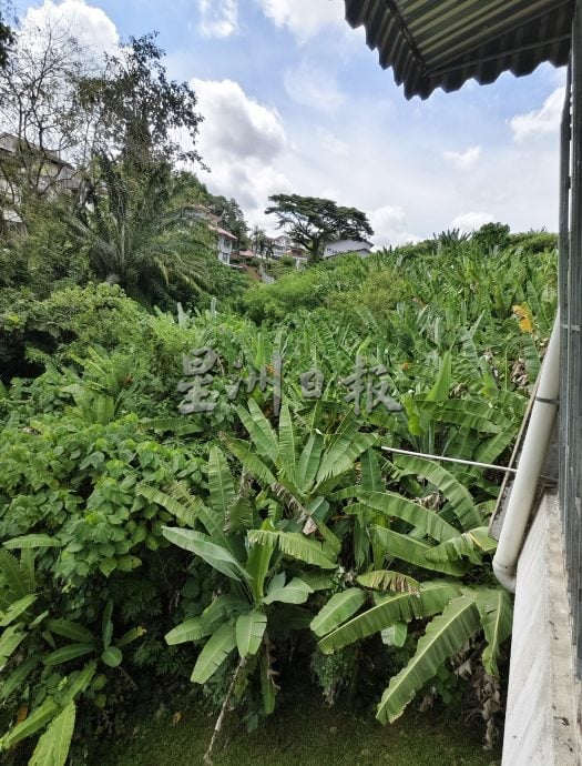 武吉亚沙住宅区荒废单位丛生 大蛇出没居民忧心安全