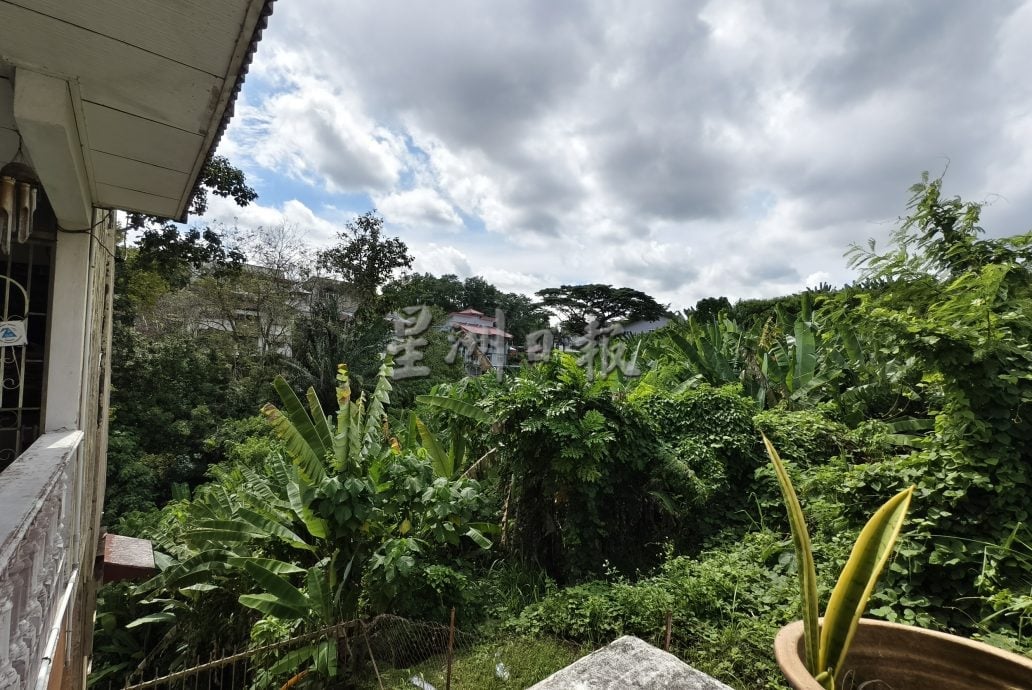 武吉亚沙住宅区荒废单位丛生 大蛇出没居民忧心安全