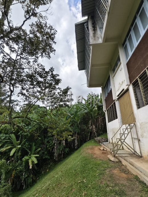 武吉亚沙住宅区荒废单位丛生 大蛇出没居民忧心安全