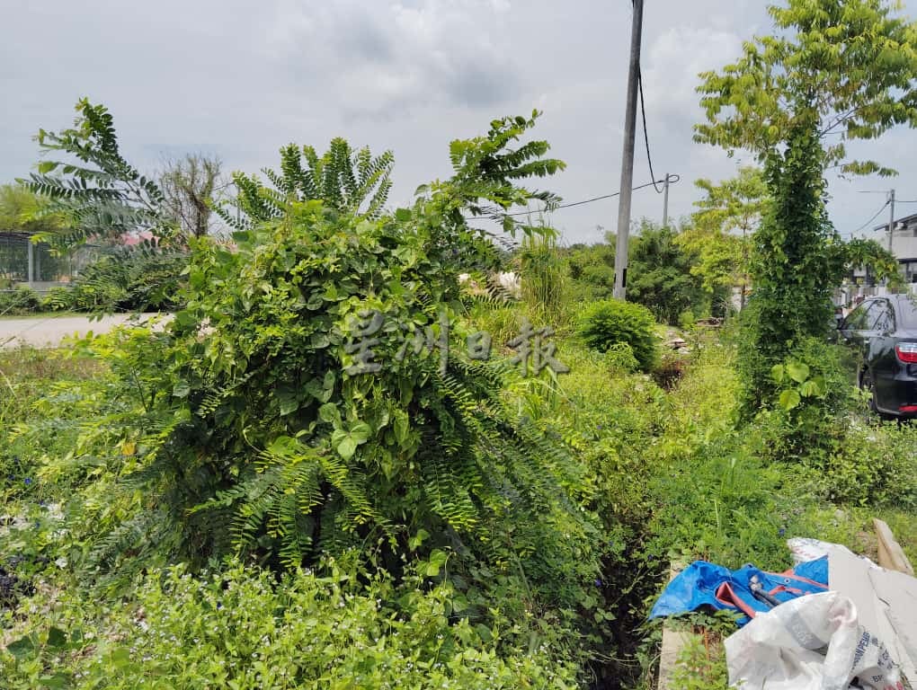 **已签发**柔:第二版头:民生特工队〡入住1年仍无垃圾服务 居民被迫天天自行清理