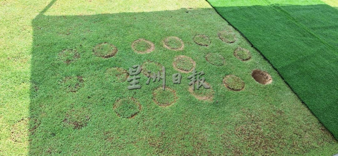 “植存葬”推行两周年 环保殡葬观念逐渐普及