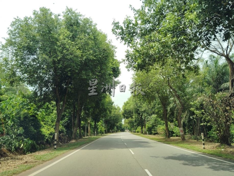 (已签发)柔:**显刊**东甲新镇路段夺4命 县议会促当局提升安全措施