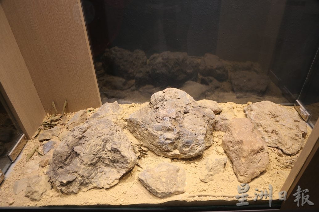 玲珑考古博物馆重新开放 “霹雳人”遗骸回乡展出