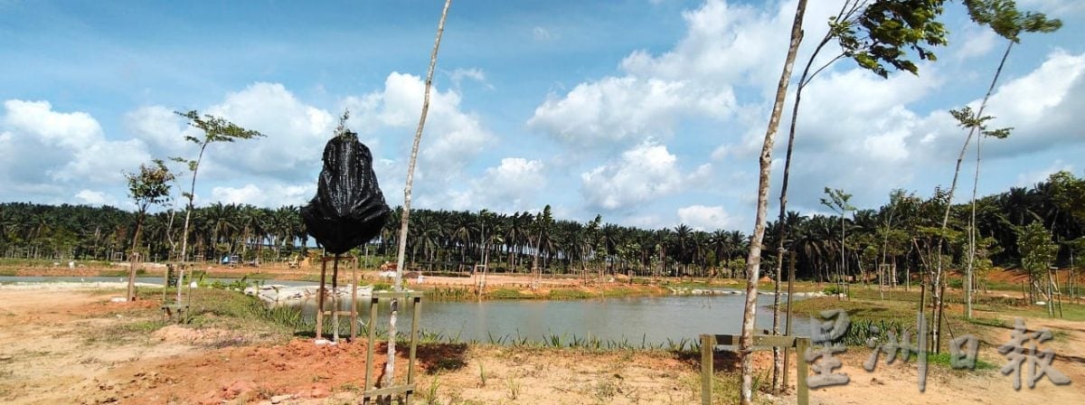 (已签发)柔:**封底特稿**古来瑞林园即将走入历史 昔日工人家属9日团圆宴