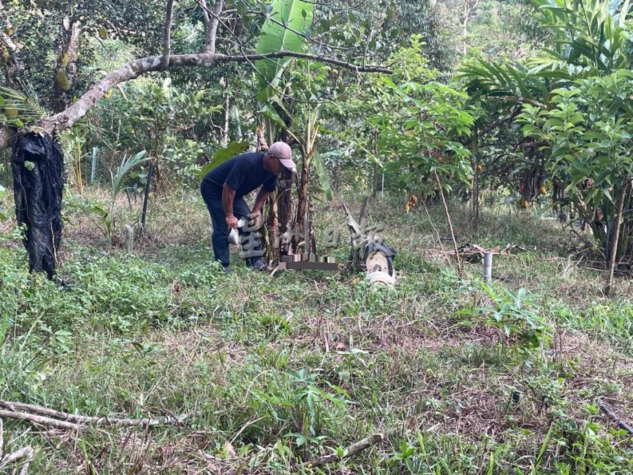 供星洲网:淡边甘榜斯里乐巴疑再现黑豹踪迹,6只家犬夜间失踪