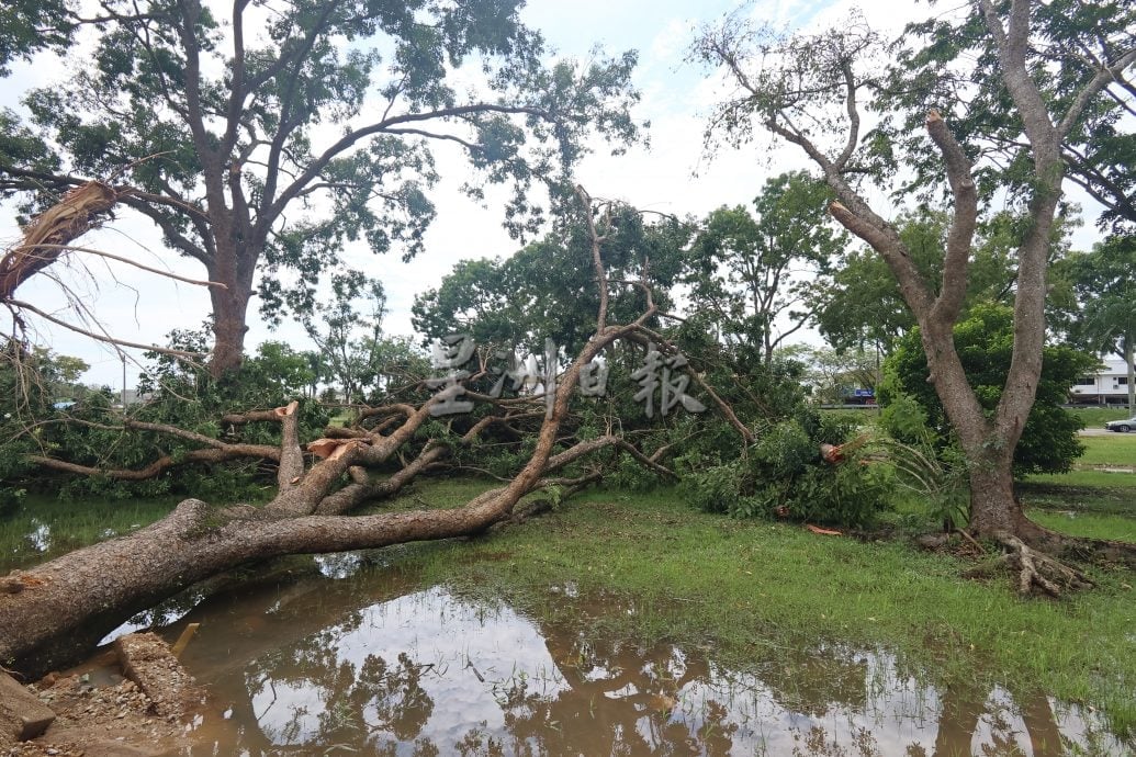 东:已签发:暴风雨夜袭关丹!导致关丹市超过60间房屋遭殃,并发生至少13宗树木倒塌事件。