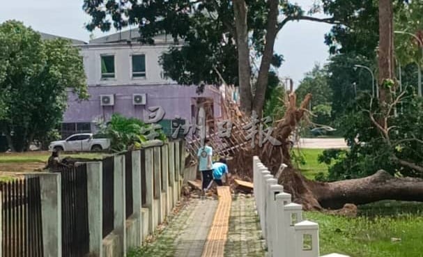 东:已签发:暴风雨夜袭关丹!导致关丹市超过60间房屋遭殃,并发生至少13宗树木倒塌事件。