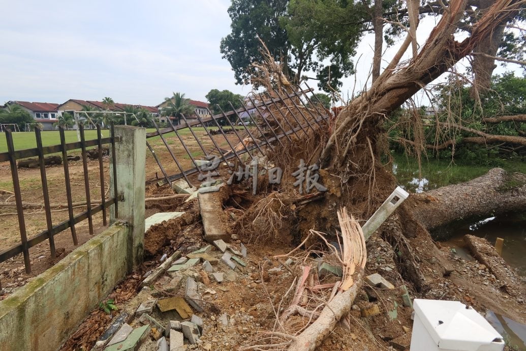 东:已签发:暴风雨夜袭关丹!导致关丹市超过60间房屋遭殃,并发生至少13宗树木倒塌事件。