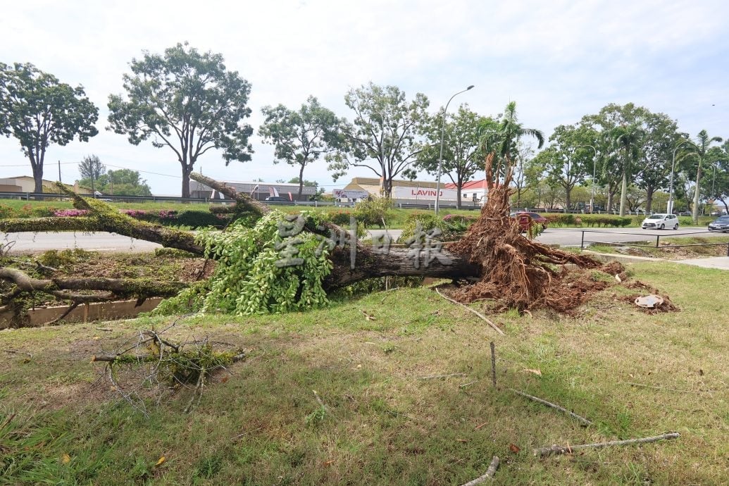东:已签发:暴风雨夜袭关丹!导致关丹市超过60间房屋遭殃,并发生至少13宗树木倒塌事件。