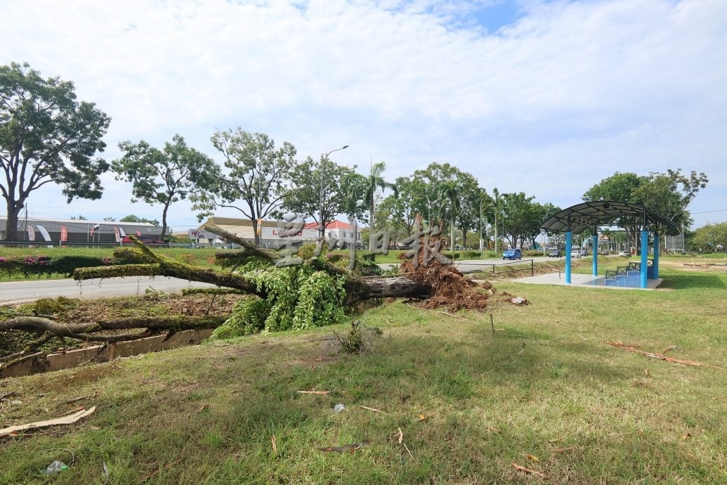 东:已签发:暴风雨夜袭关丹!导致关丹市超过60间房屋遭殃,并发生至少13宗树木倒塌事件。