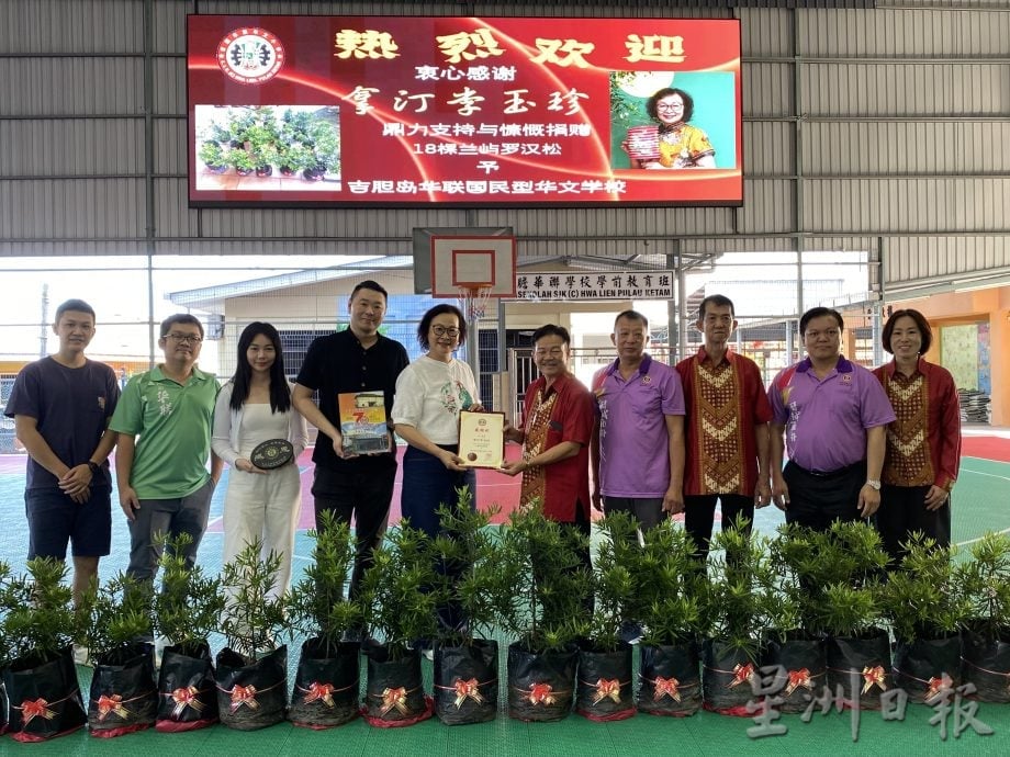 早报可版头//大都会-18罗汉松乘船入岛绿化吉胆华联小学