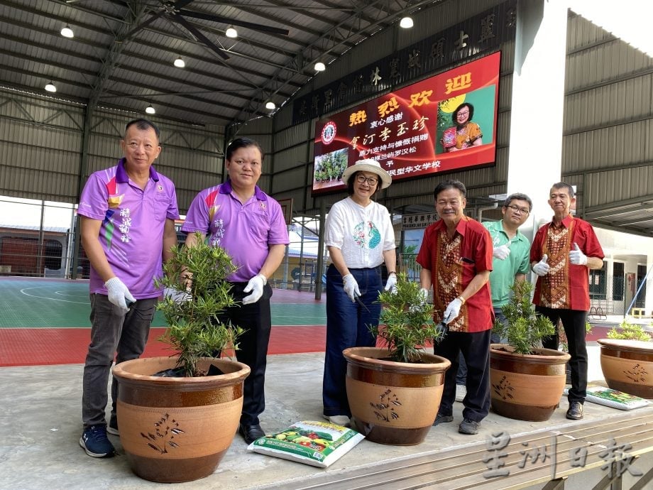 早报可版头//大都会-18罗汉松乘船入岛绿化吉胆华联小学