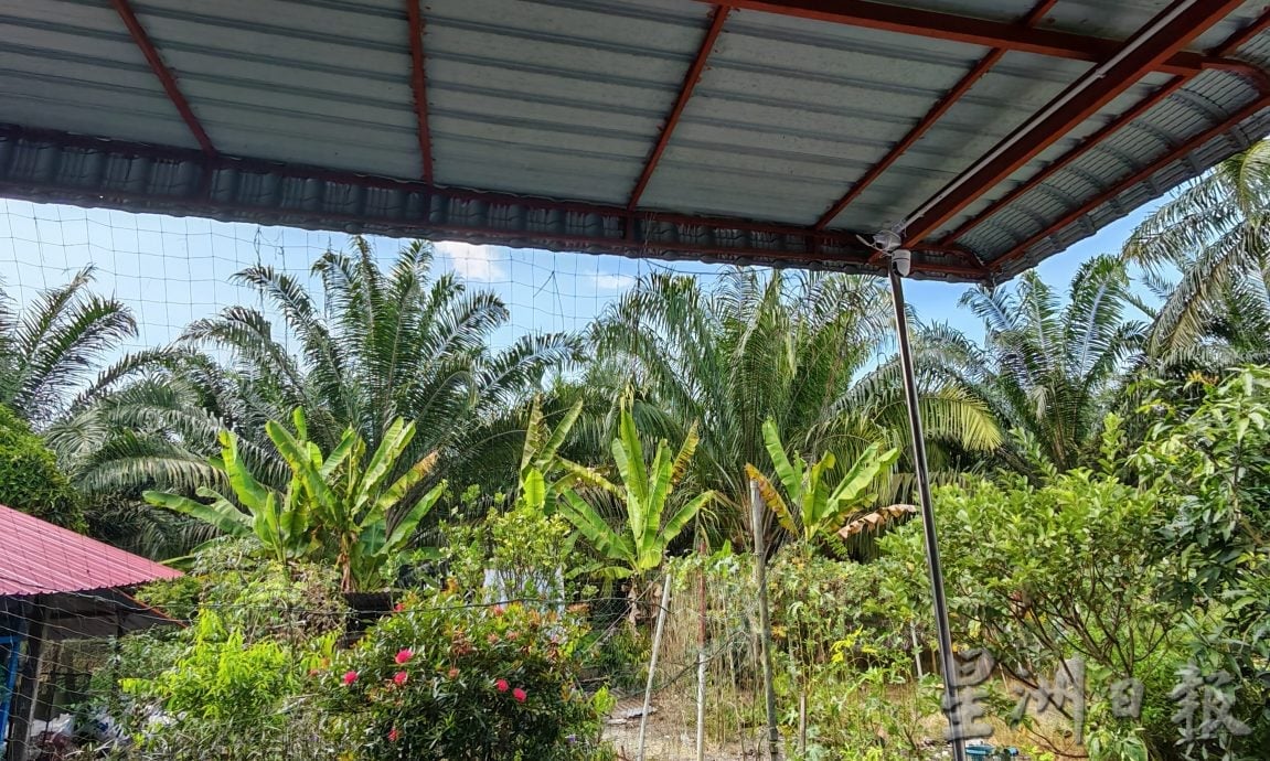 独行贼无惧看门狗及有人在家,连闯两住家4次行窃