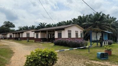 跨越40年再重逢   瑞林园逾千各族前胶工团聚