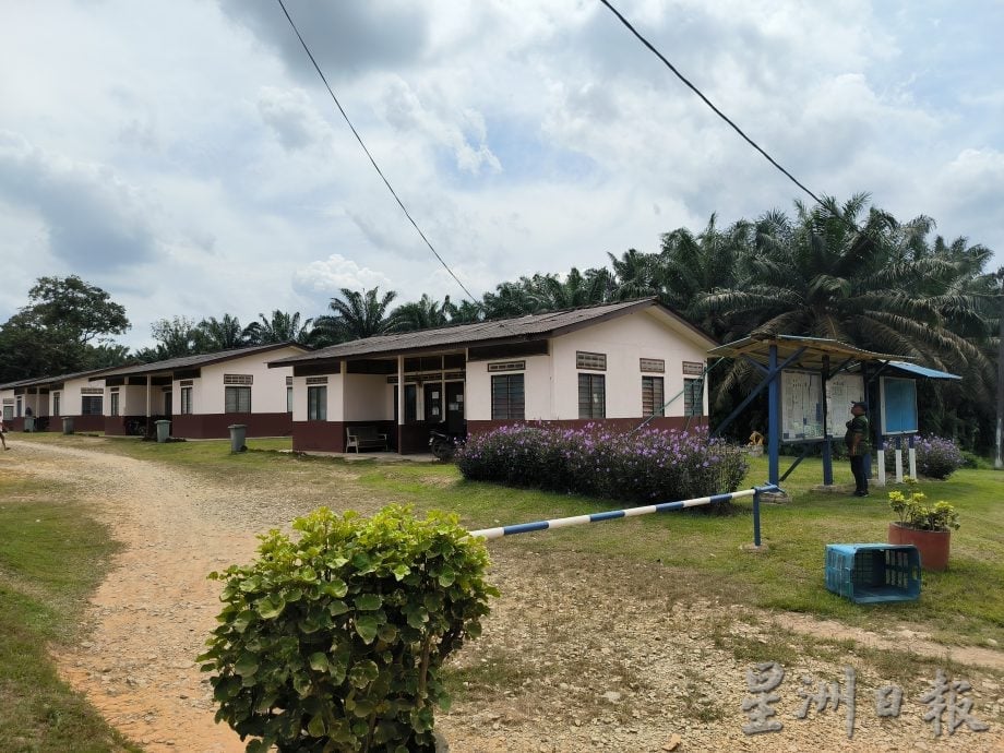 （已签发）柔：**封面**跨越40年再重逢   瑞林园逾千各族前胶工团聚