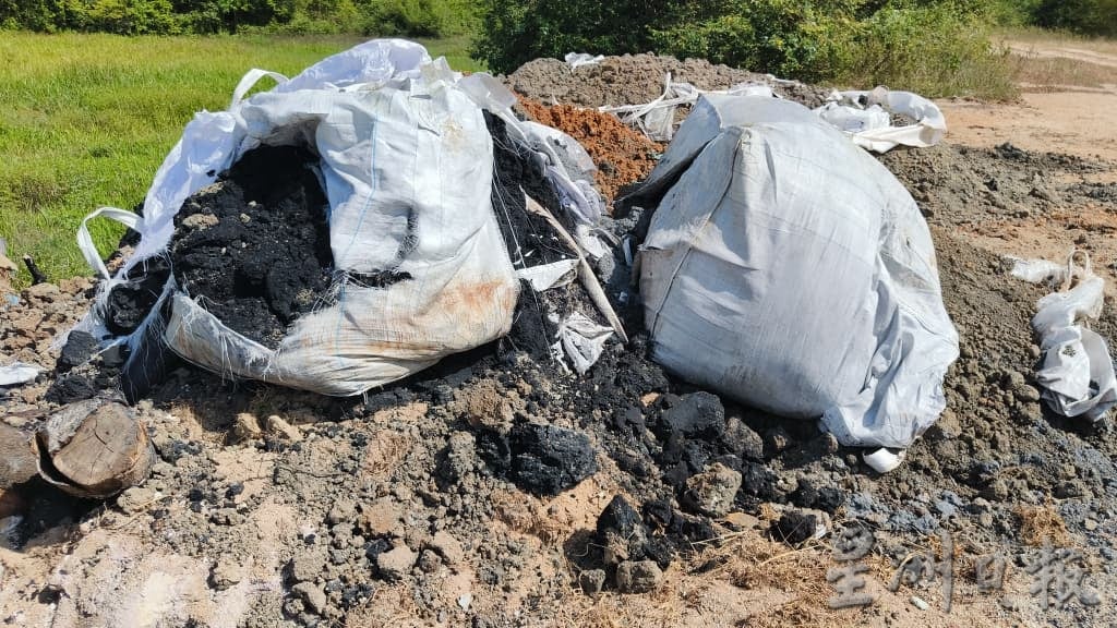 端洛发生牛只集体死亡 牛主居民盼当局查源头