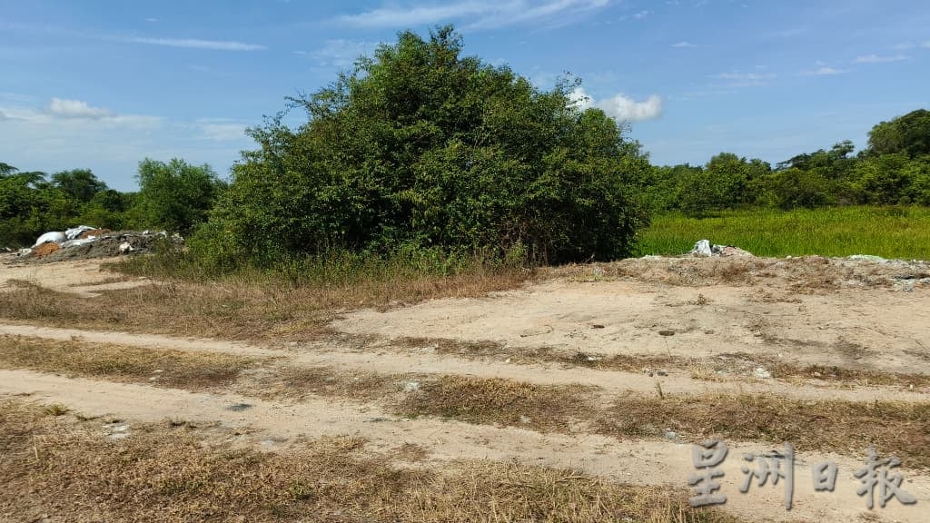 端洛发生牛只集体死亡 牛主居民盼当局查源头