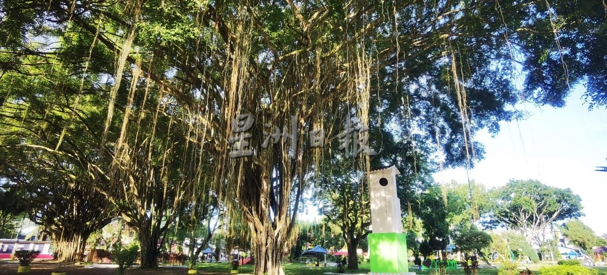 新村美化动起来/11日见报∕/凭“我爱哲仁”信念，哲仁村民坚守美化基业30余年