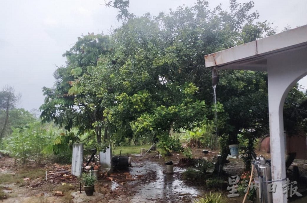 NS马口:独居印尼男子被发现卧尸甘蔗园，警方暂时未发现刑事因素